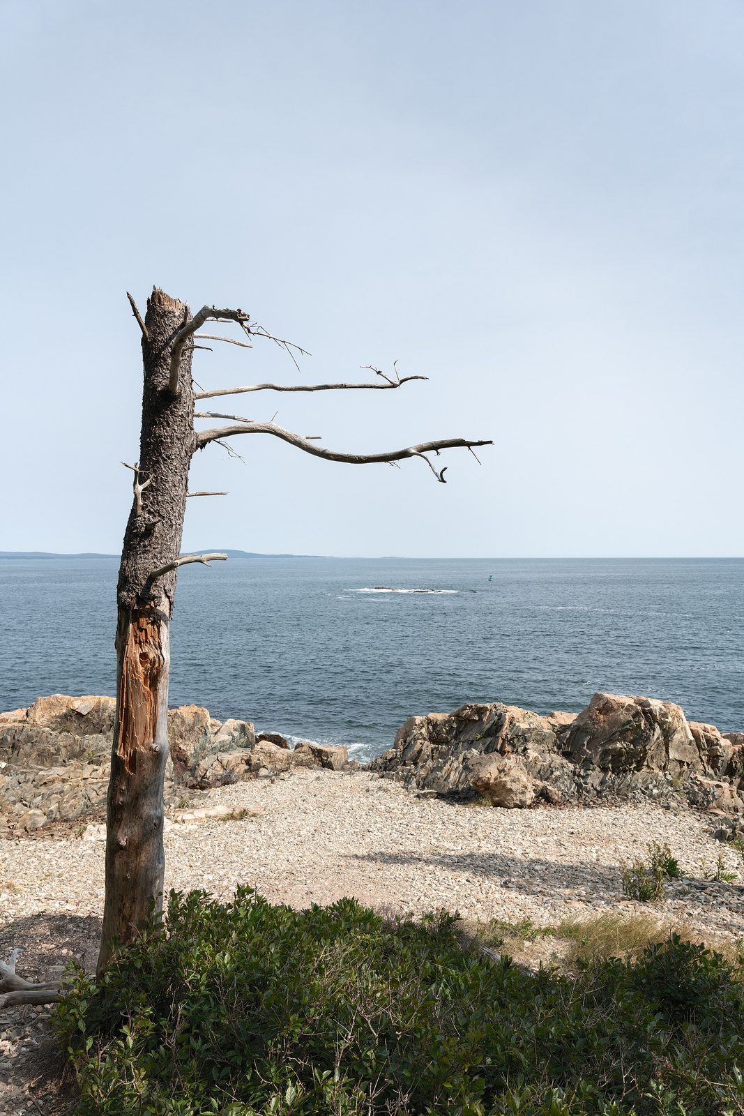 Ocean Path