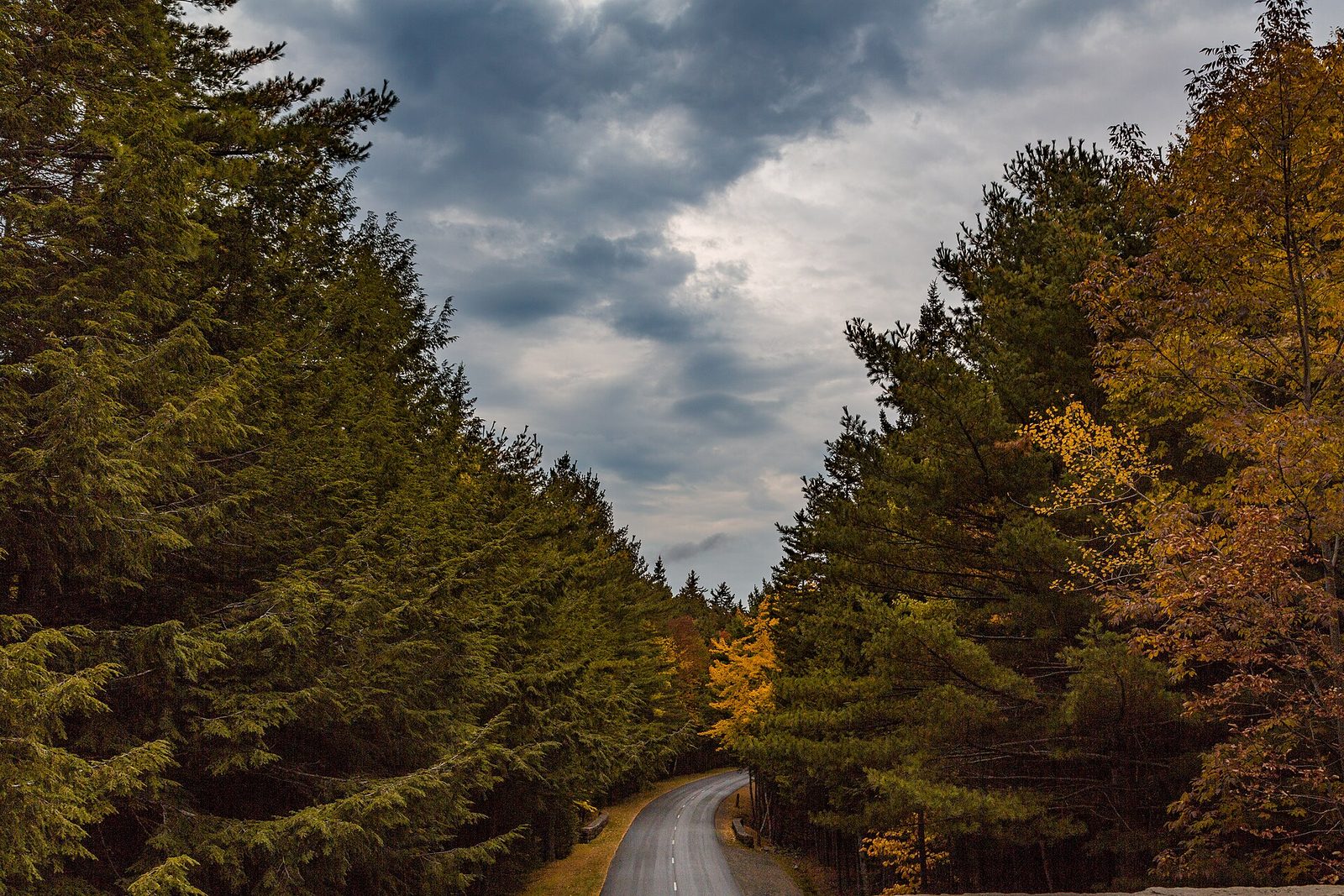 Park Loop Road