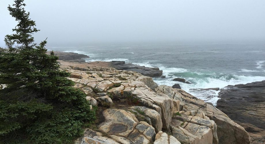 Schoodic Point
