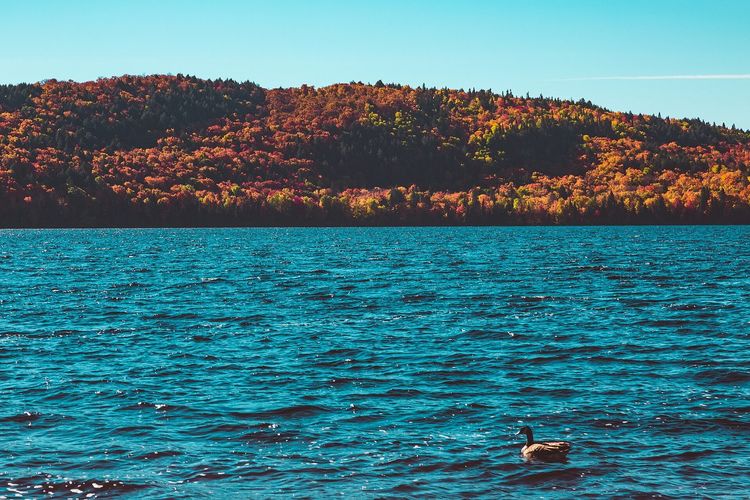 Lake of Two Rivers