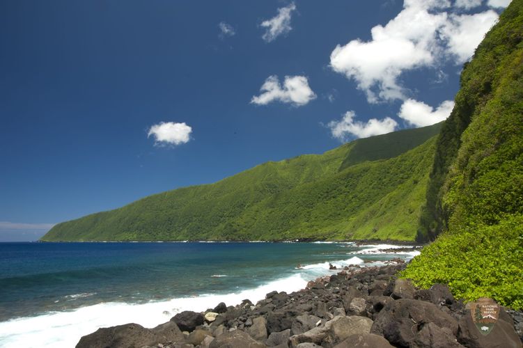 Taʻū