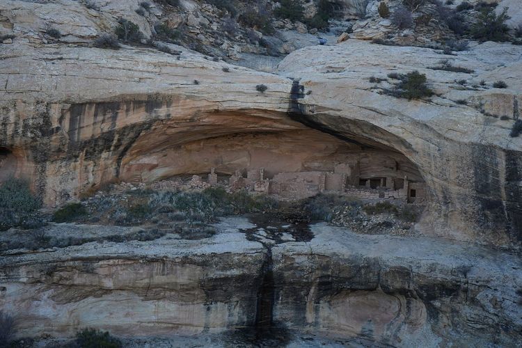 Butler Wash Ruin