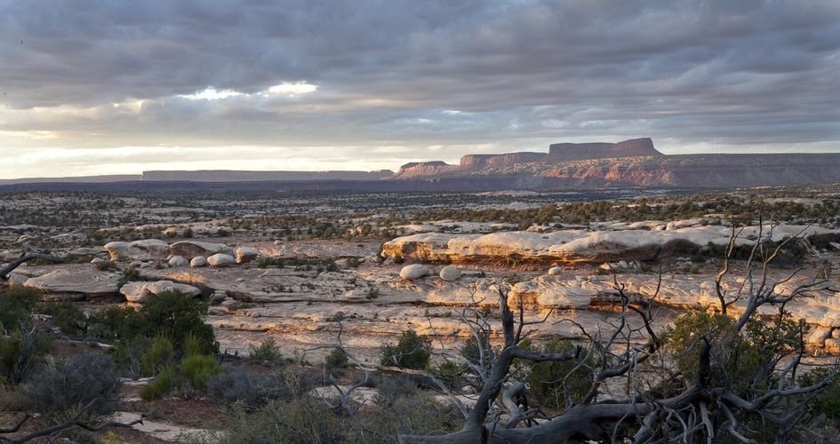 Grand Gulch