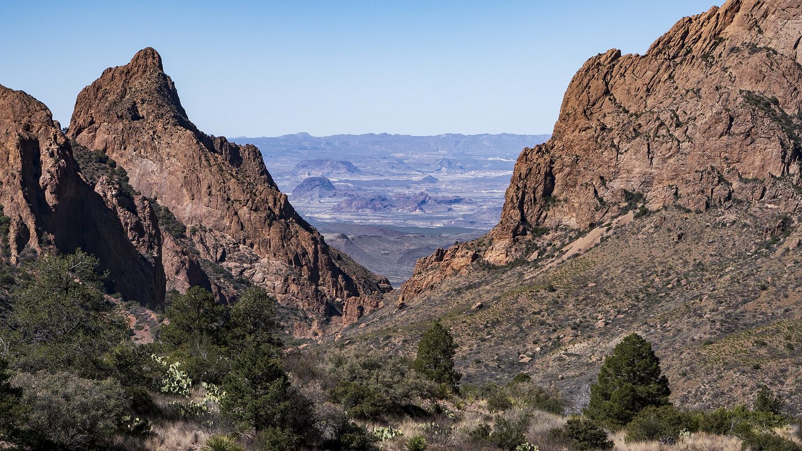 The Window Viewpoint