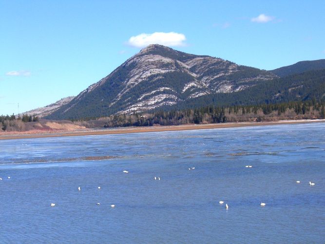 Lac des Arcs