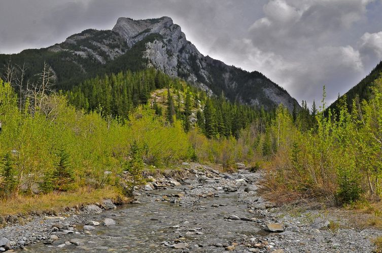 Heart Creek Trail