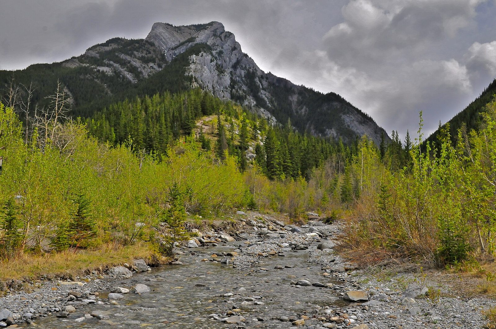 Heart Creek Trail