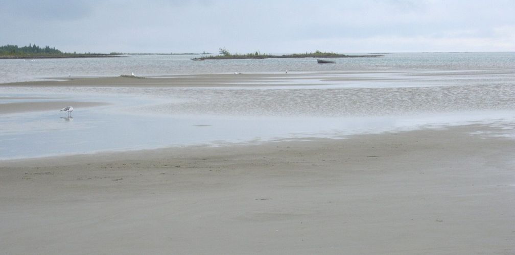 Singing Sands