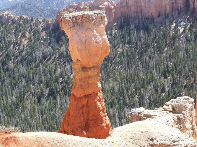 Thor's Hammer