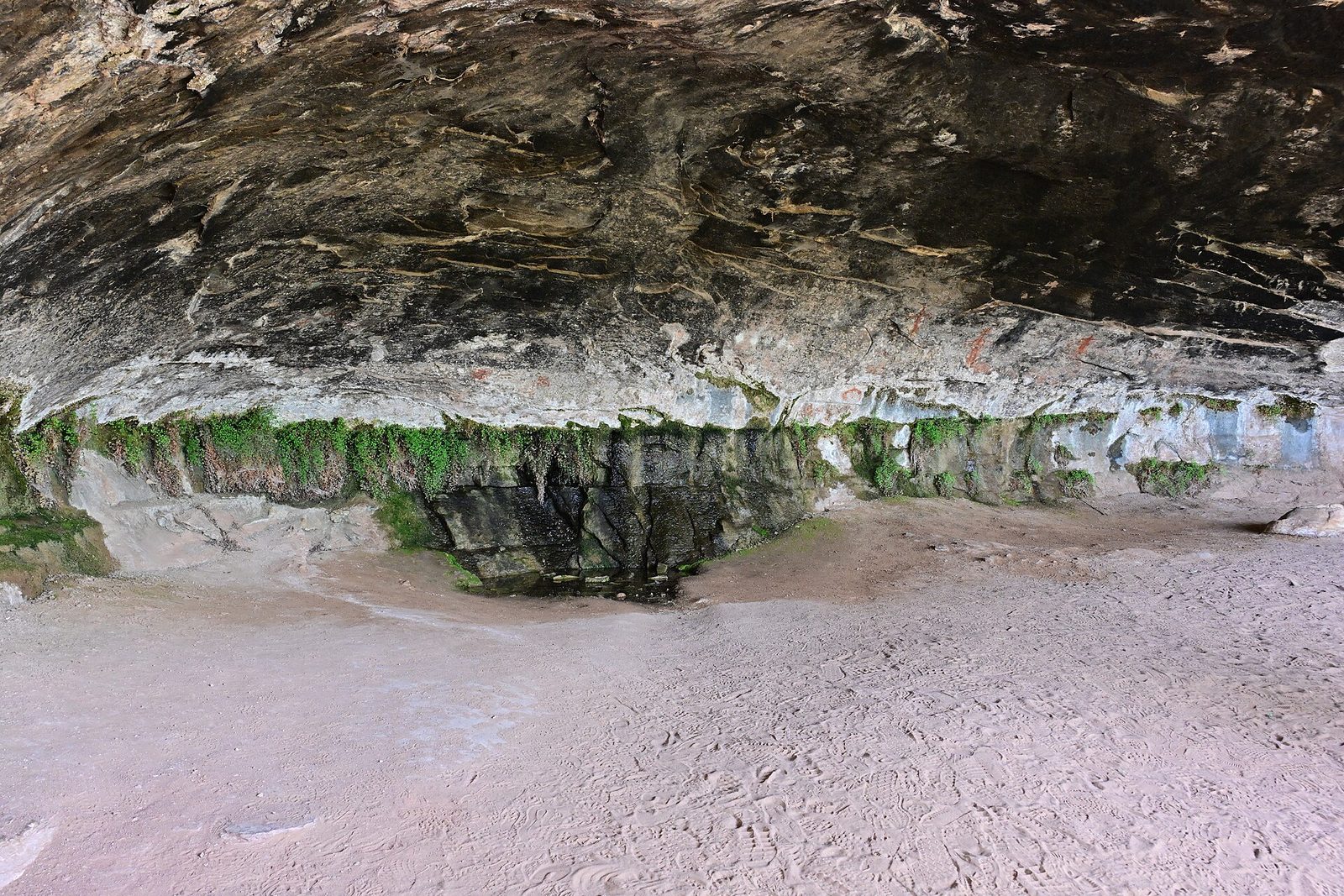 Cave Spring