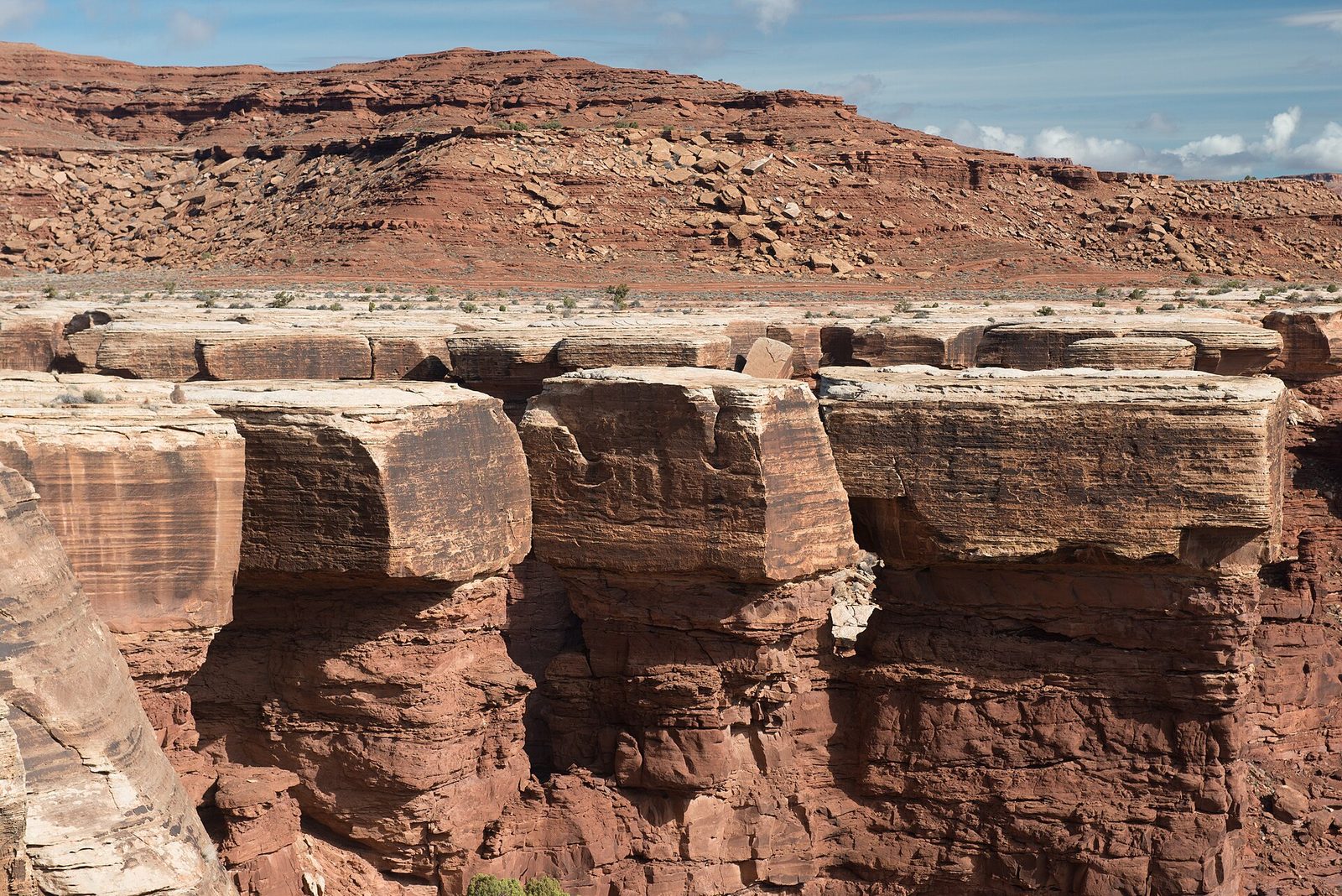 White Rim Road