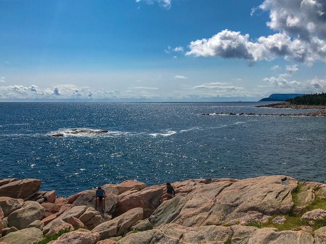Green Cove