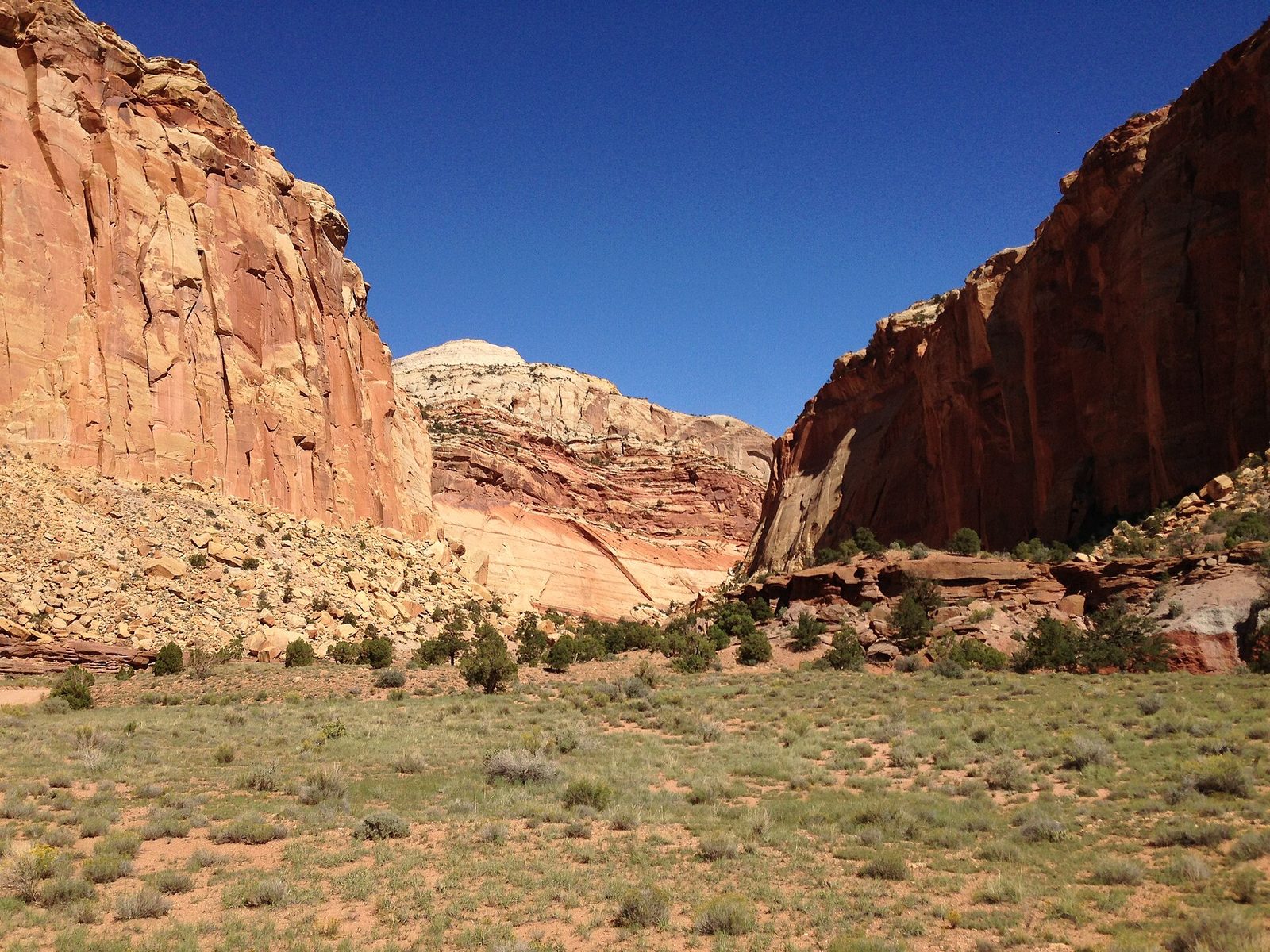 Capitol Gorge