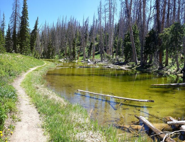 Alpine Pond Trail