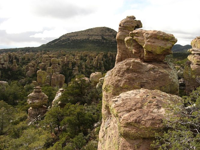 Massai Point