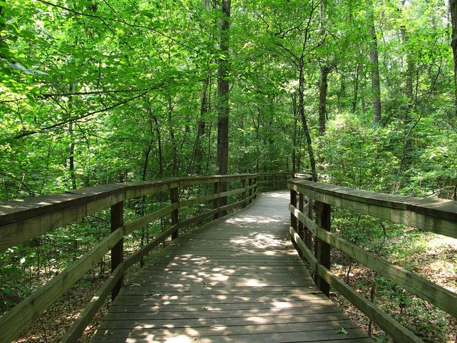 Boardwalk Loop