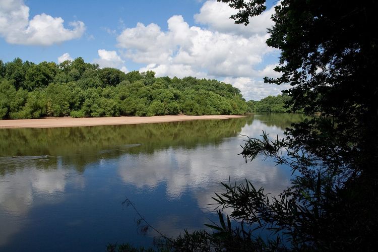 Congaree River