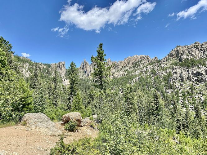 Needles Highway