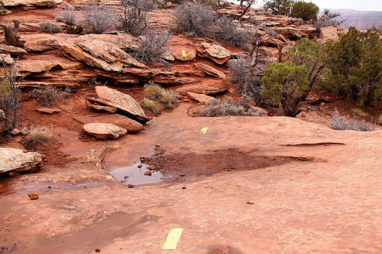 West Rim Trail