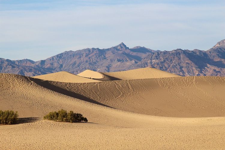 Mesquite Flat Sand Dunes