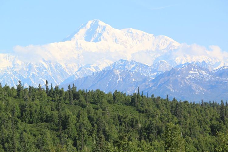 Denali