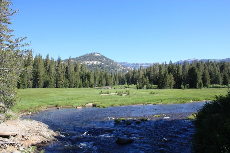 Soda Springs