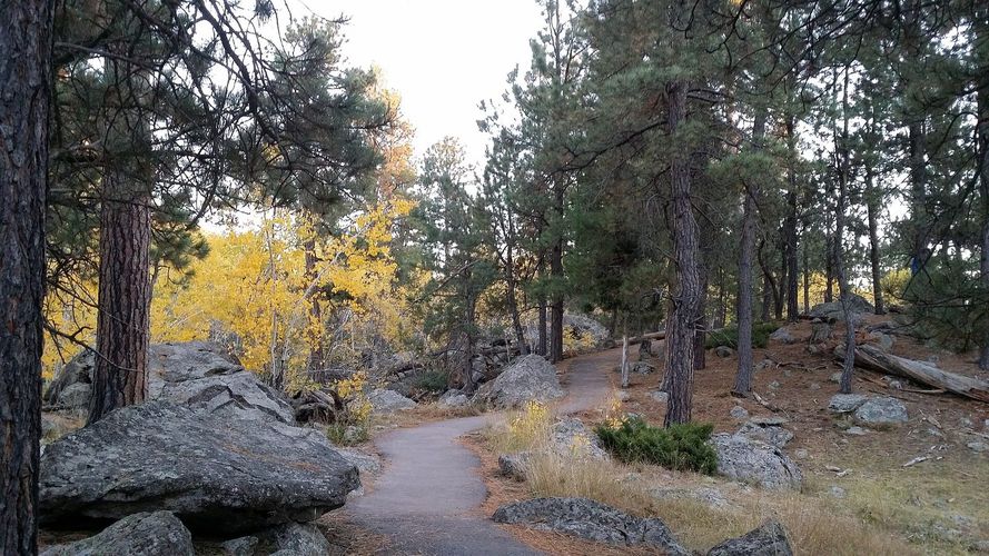 Tower Trail