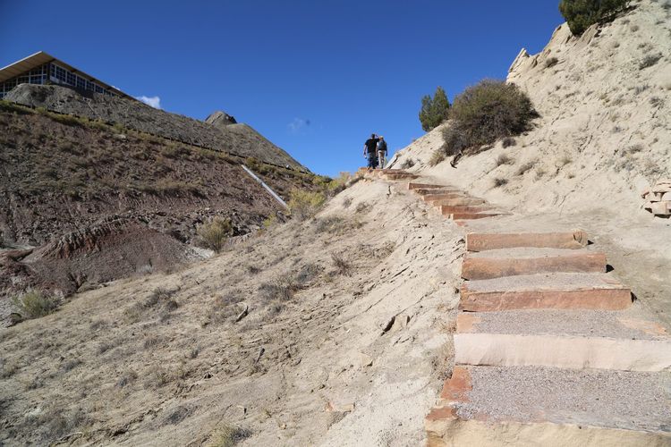 Fossil Discovery Trail