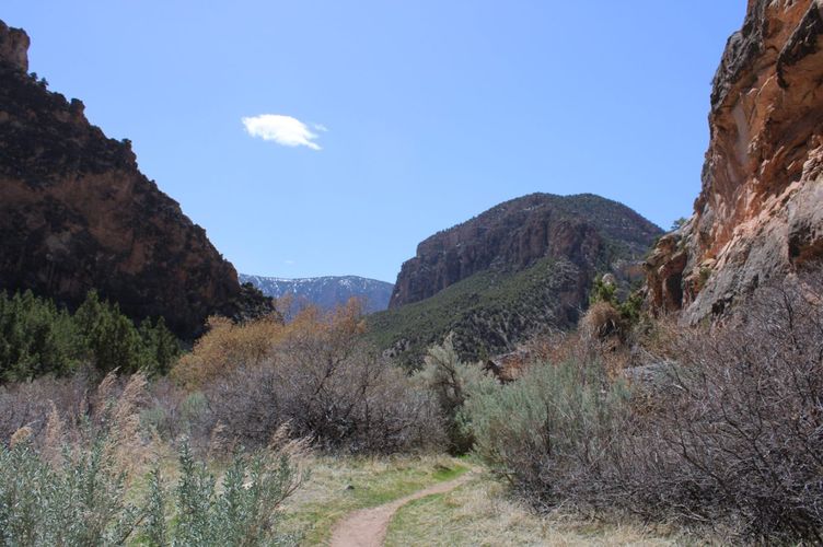 Jones Hole Trail