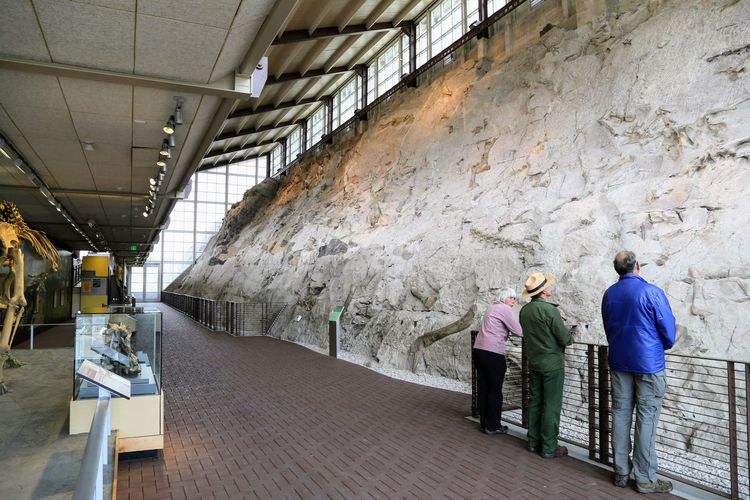 Wall of Bones, Quarry Exhibit Hall