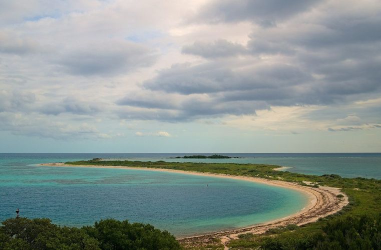 Bush Key
