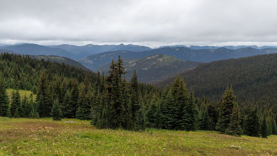 Heather Trail