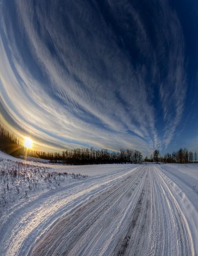 Bison Loop Road