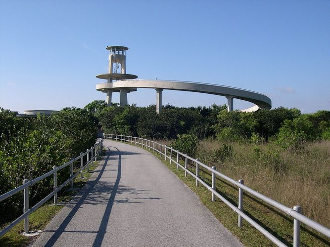 Shark Valley Observation Tower