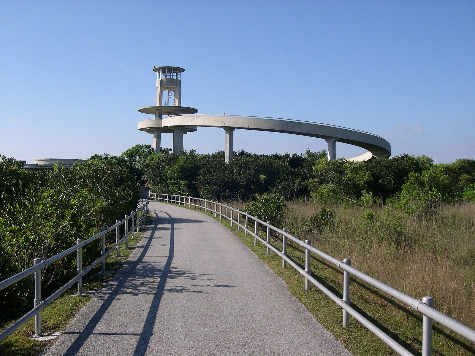 Shark Valley Observation Tower