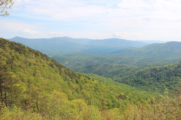 Cool Springs Overlook
