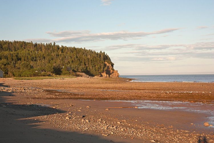 Alma Beach