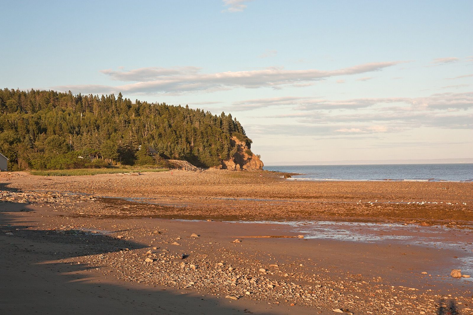 Alma Beach