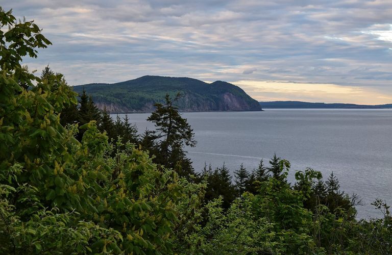 Herring Cove