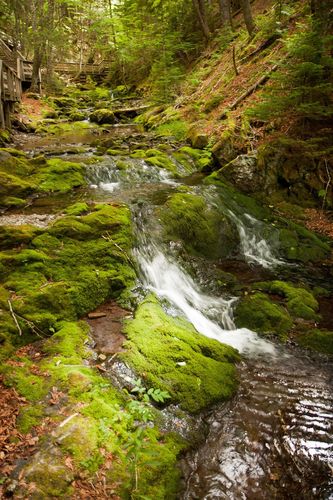 Dickson Falls