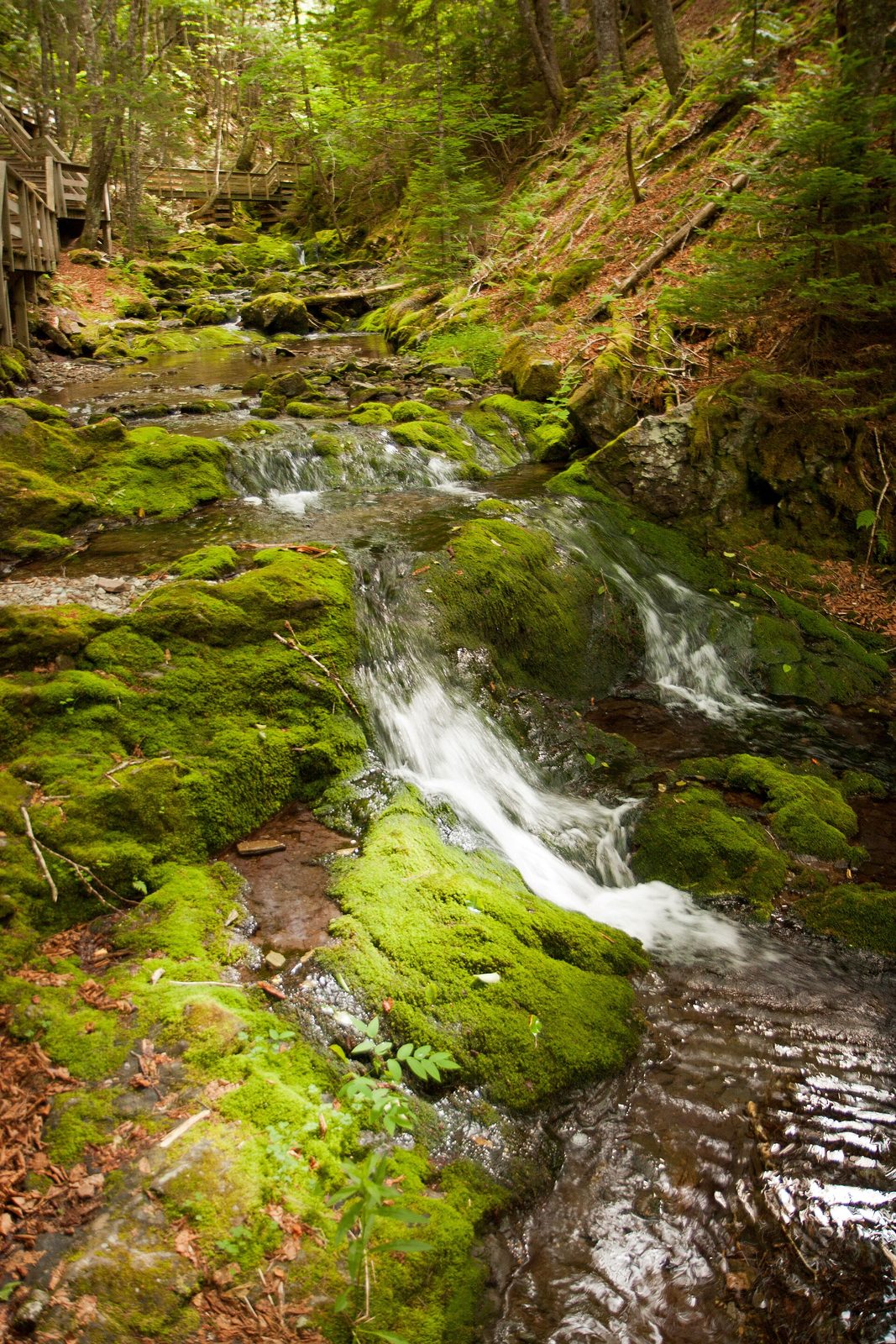Dickson Falls