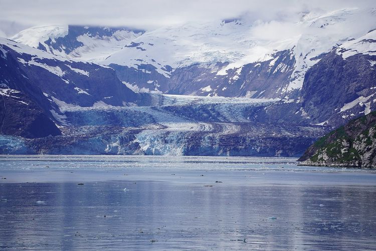 Johns Hopkins Glacier