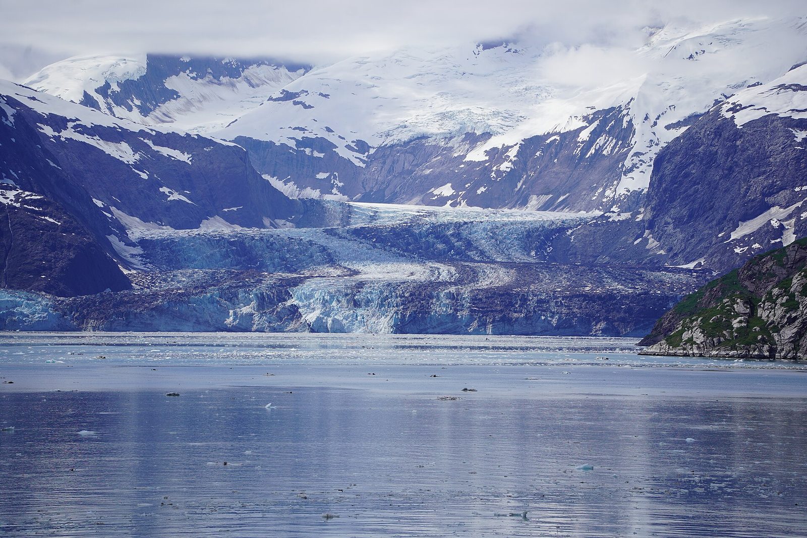 Johns Hopkins Glacier