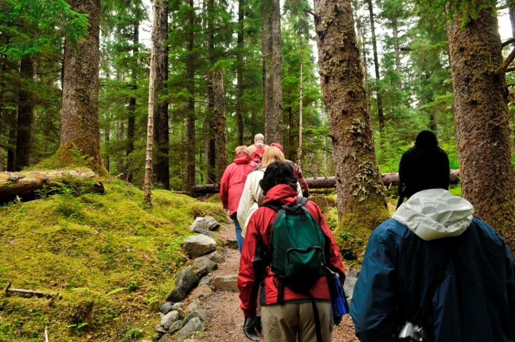 Forest Trailhead