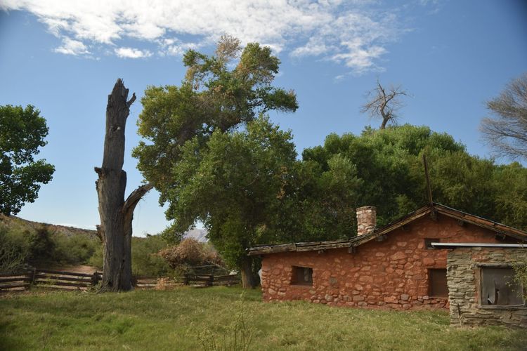 Tassi Ranch