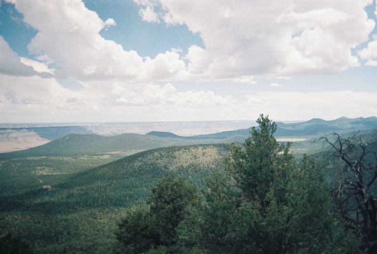 Mount Trumbull