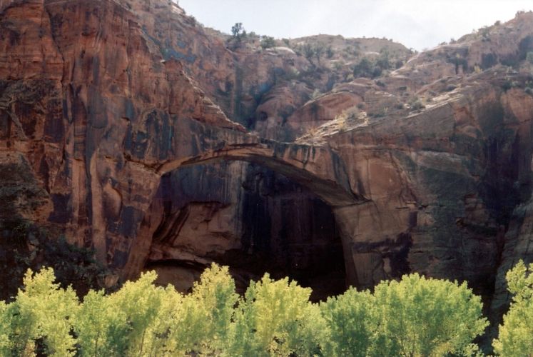 Escalante Natural Bridge