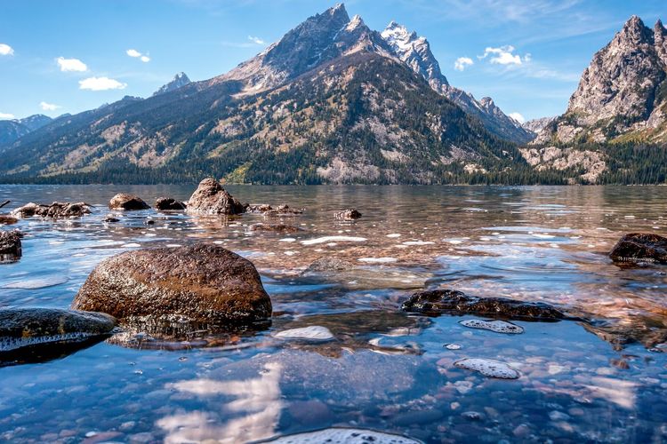 Jenny Lake