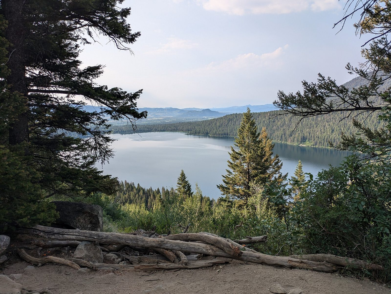 Phelps Lake Overlook