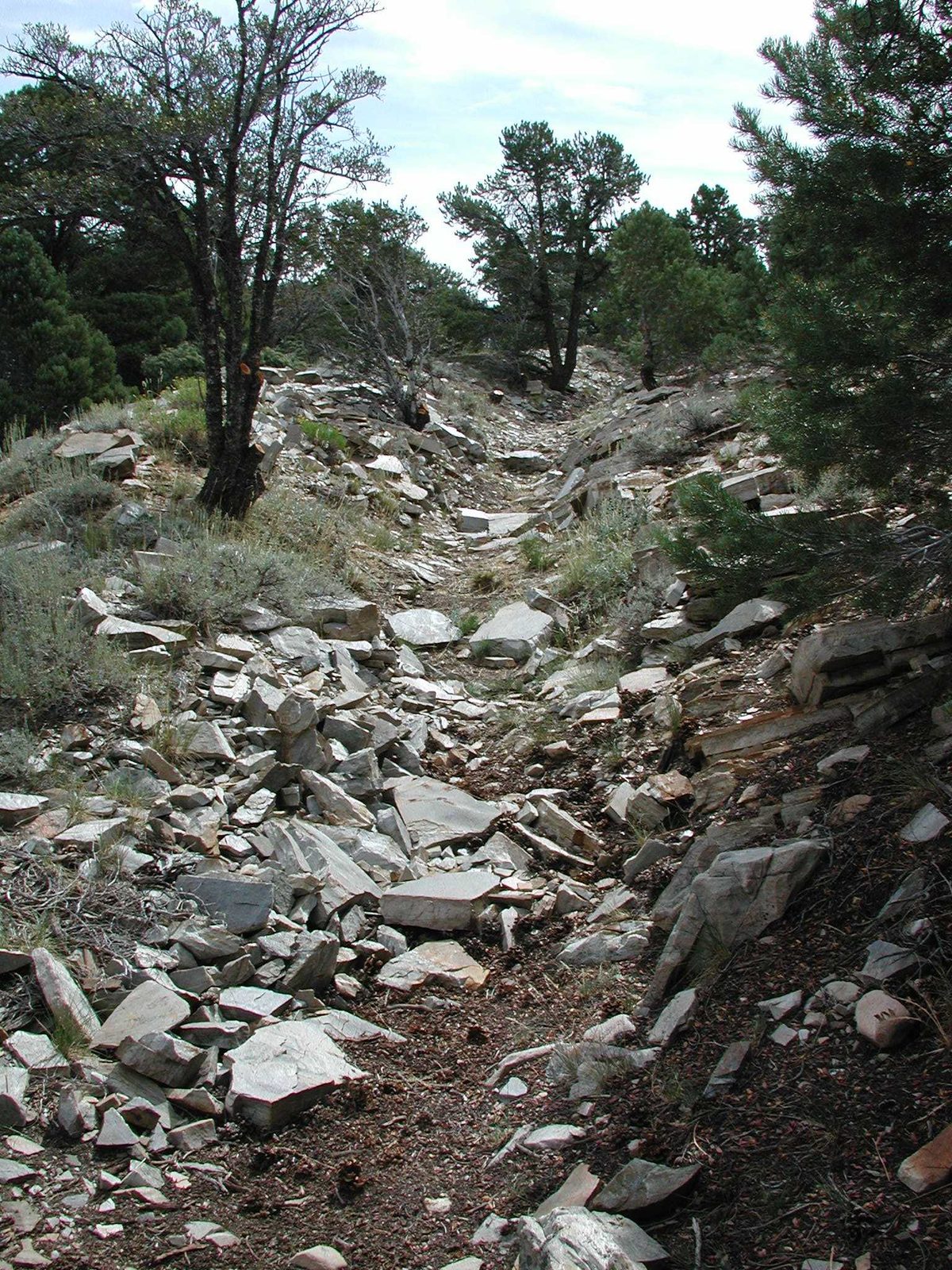 Osceola Ditch